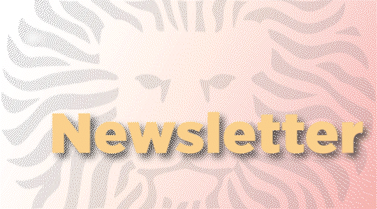 Newsletter - Coordinación de Internacionalización (CI)